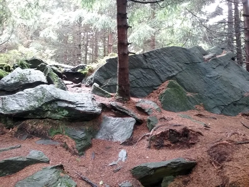 Na skalce (Český les)