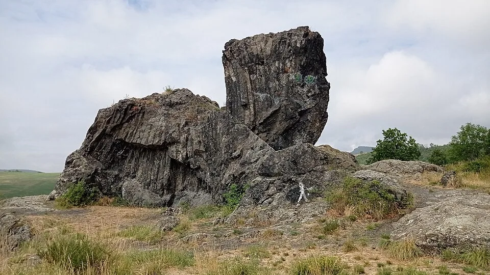 Kočka