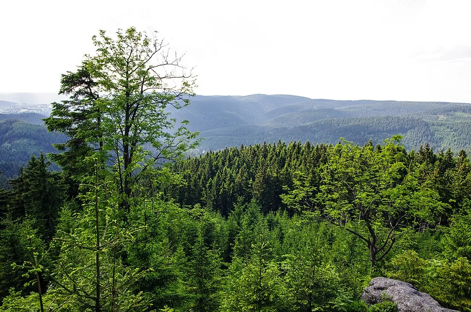 Špičák