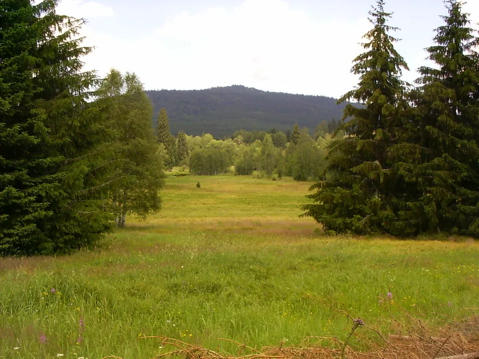 Stožec