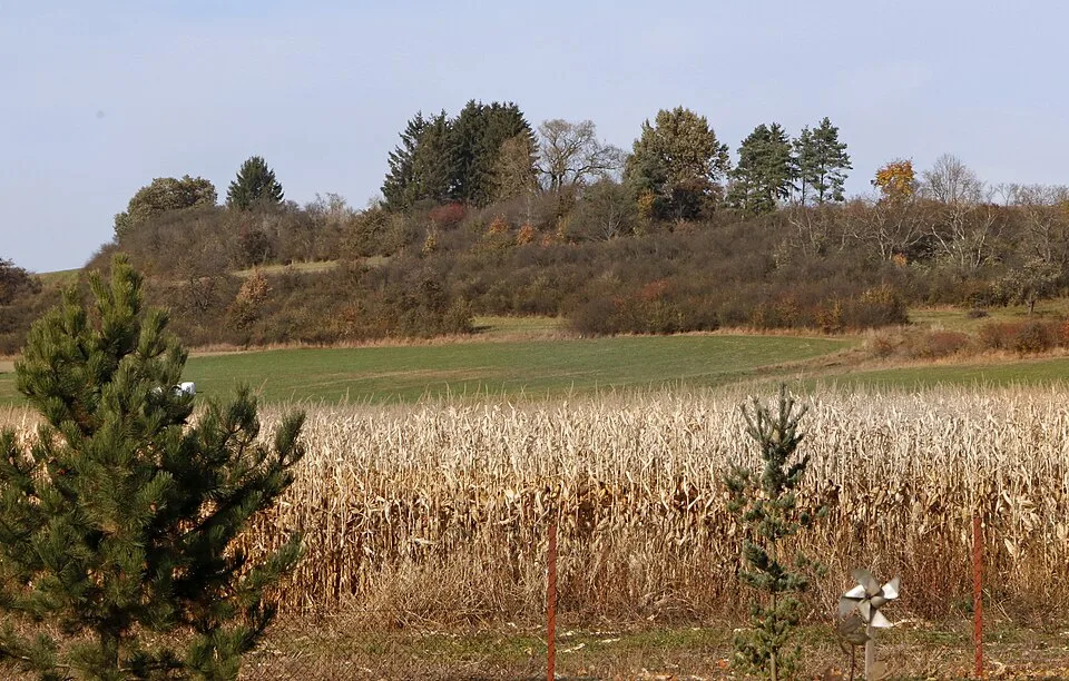 Bučkův kopec