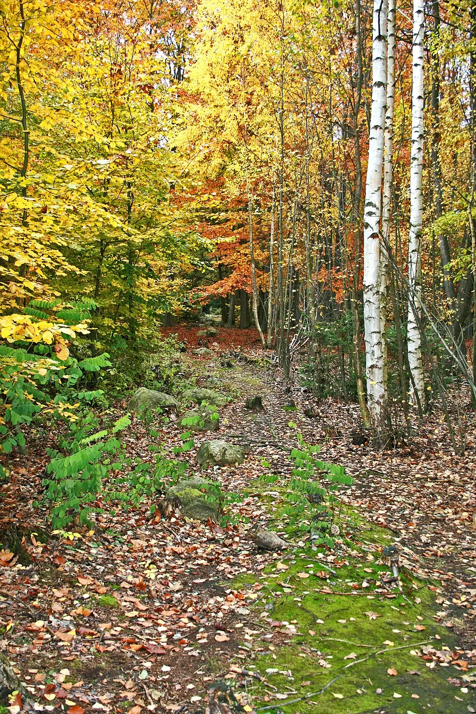 Kounovské kamenné řady