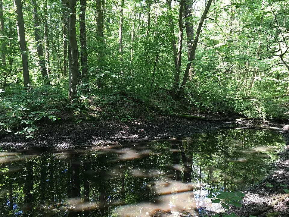 Kří