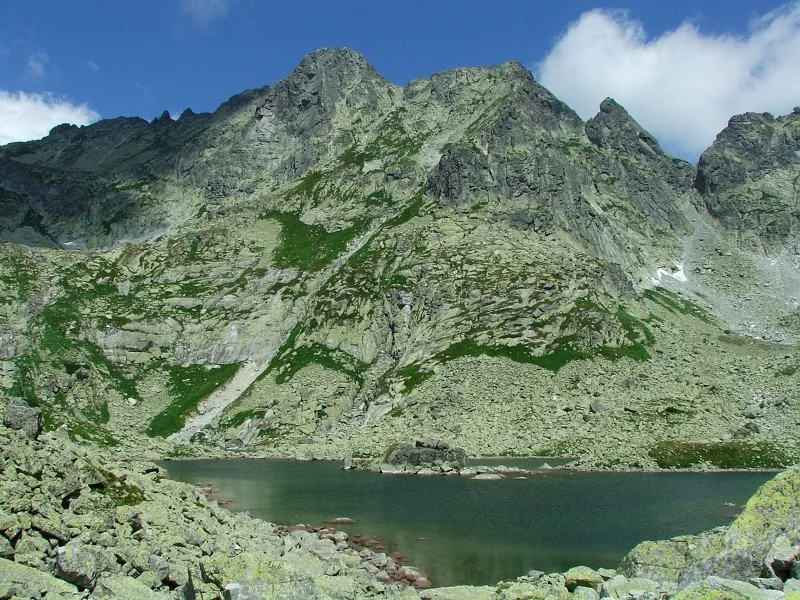 Volia veža