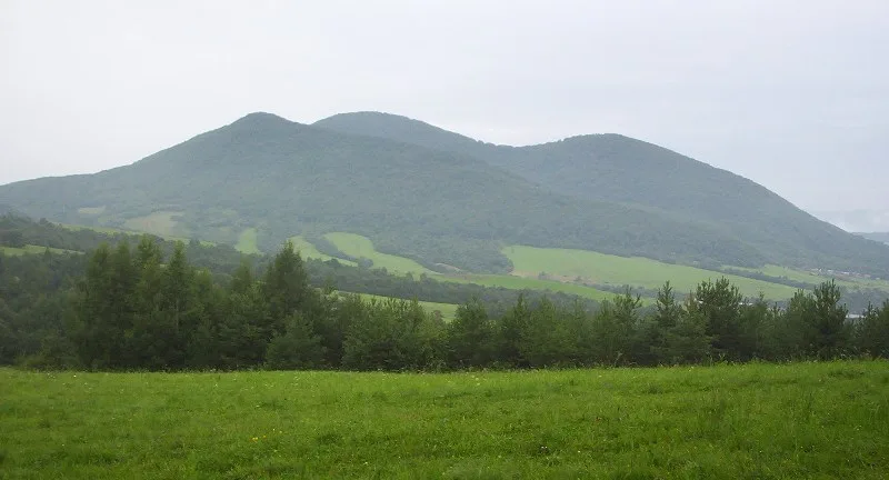 Busov