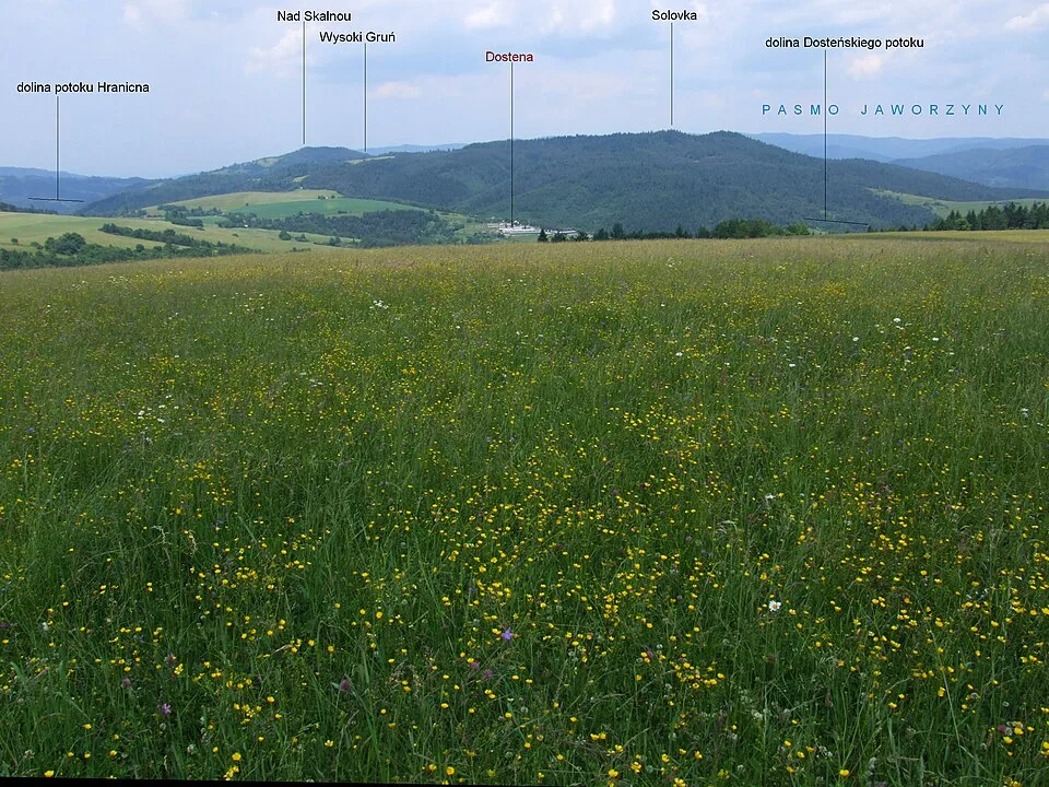 Soľovka