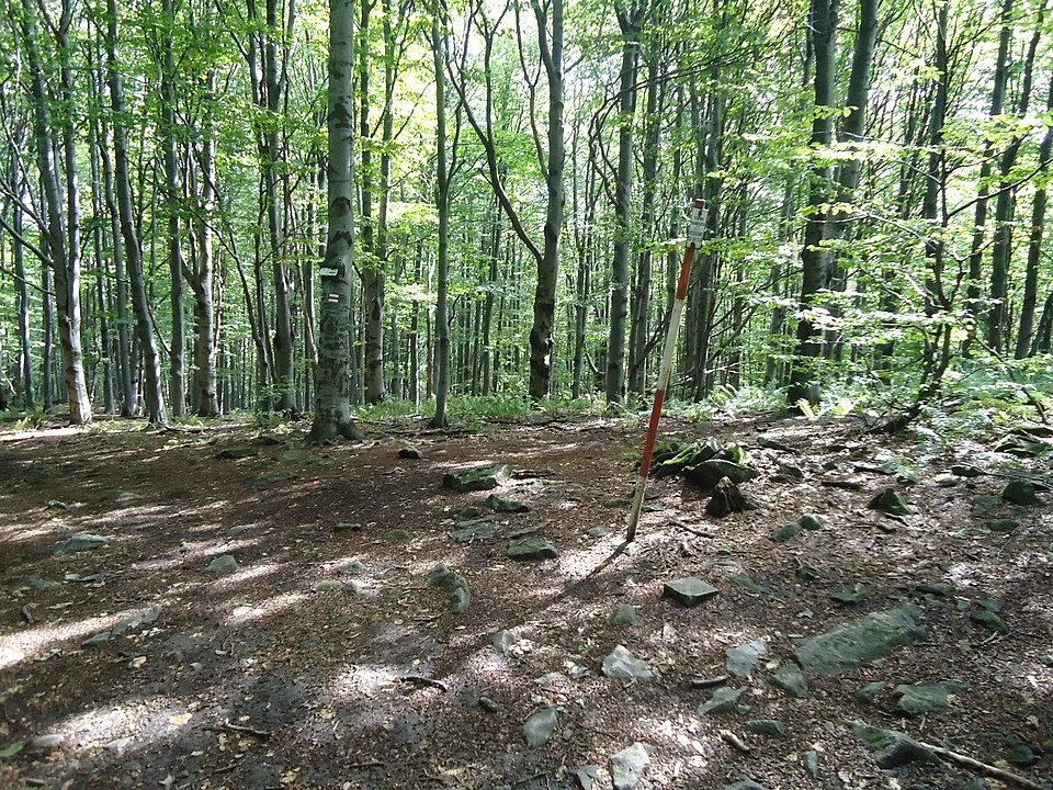 Tri chotáre