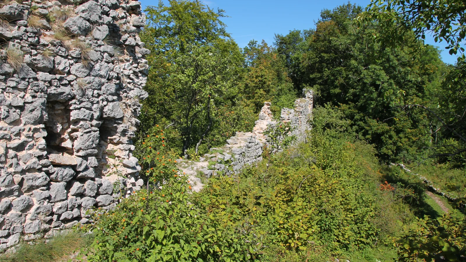 Muránska planina: hrad Muráň, stovky jaskýň a vzácny lykovec