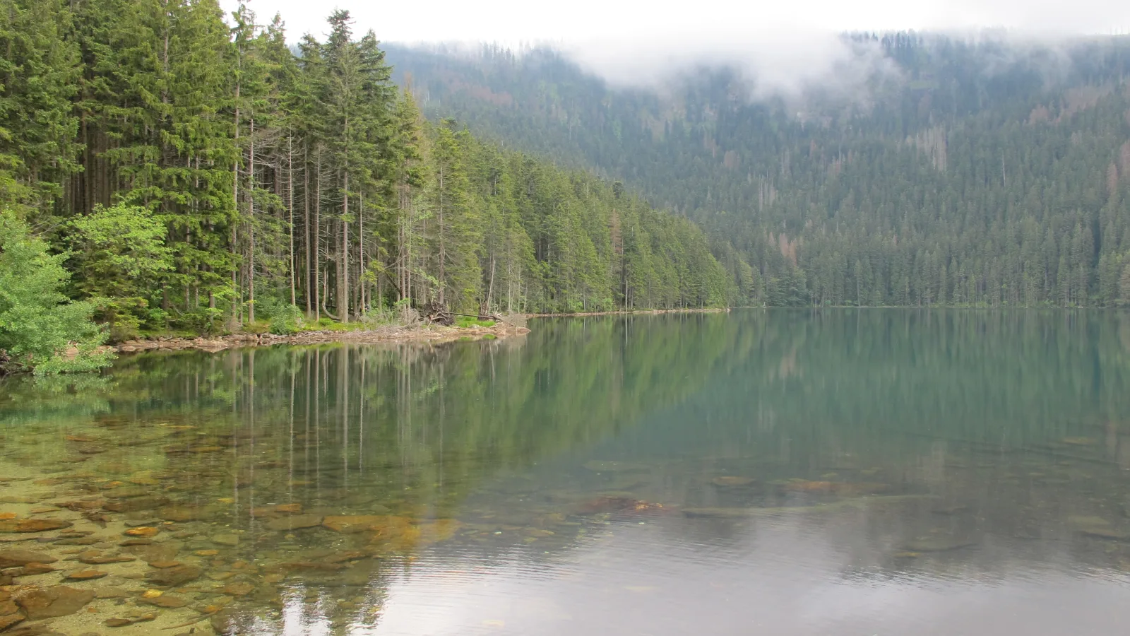 Šumava: Černé jezero, Boubínský prales a divoká Vydra