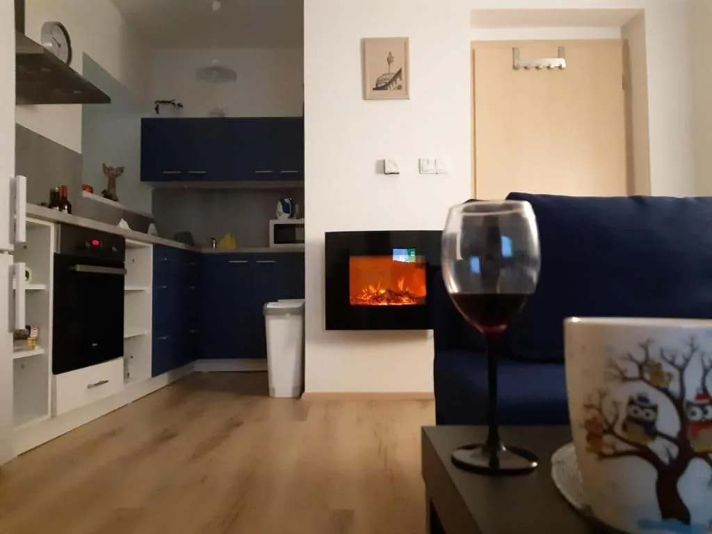 Apartmán Horní Lipová č. 3 — photo 4