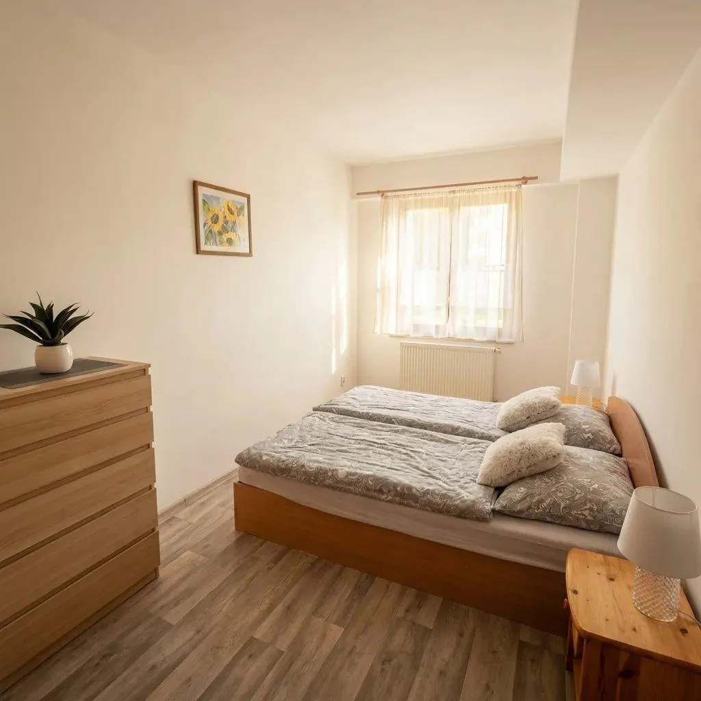 Apartmány Jáchymov — photo 2