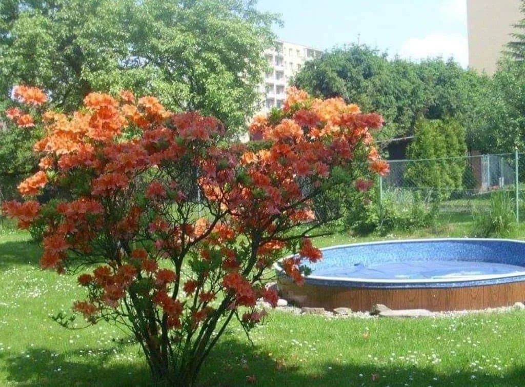 Ubytování u Petry — photo 2