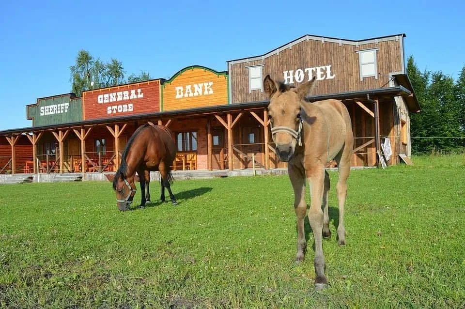 Bubla City Ranch — zdjęcie 2