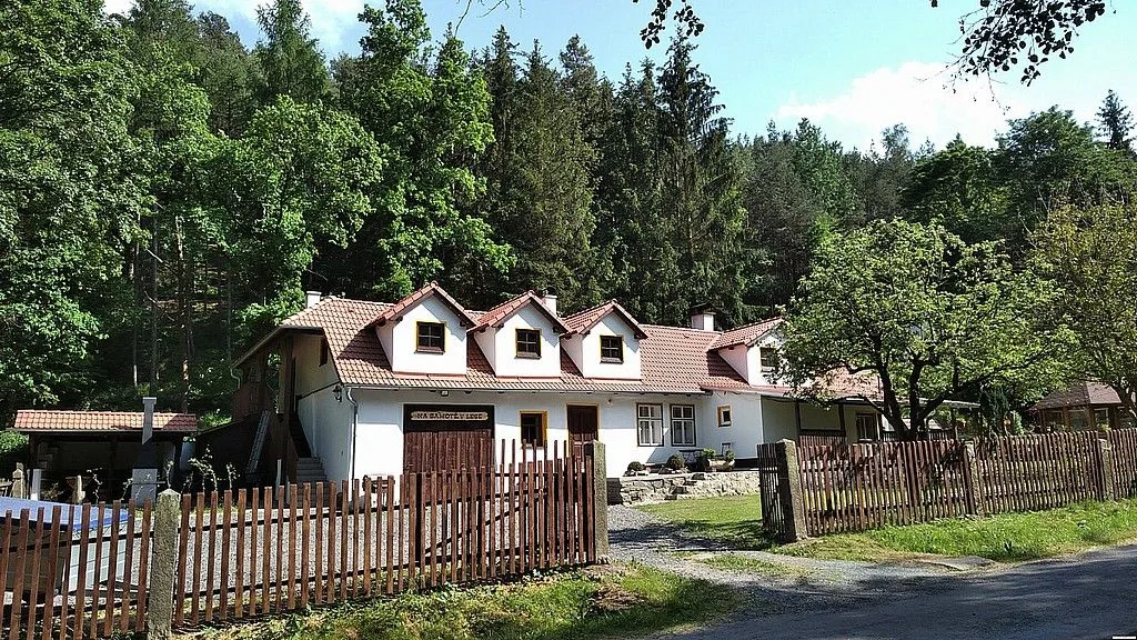 Na samotě v lese