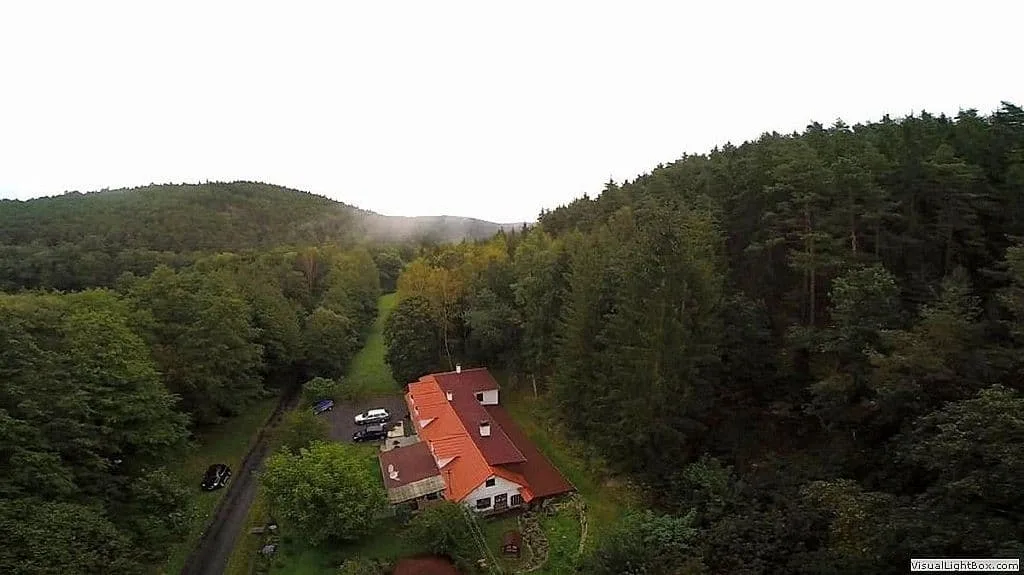 Na samotě v lese — photo 2