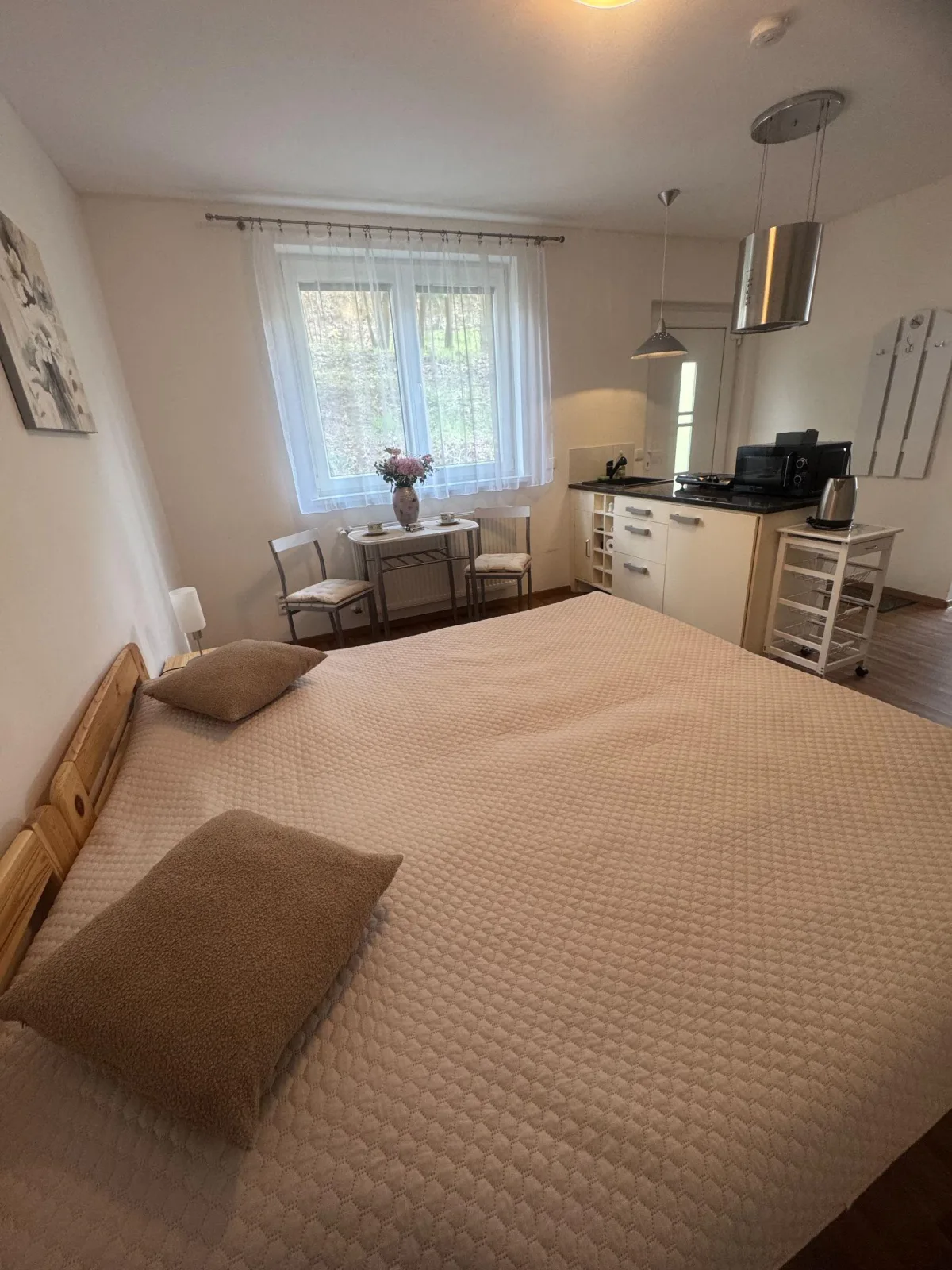 Apartmán Tereza — photo 4