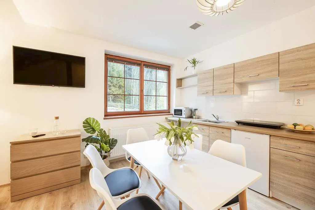 Apartmány Úpatí Ještědu — photo 2