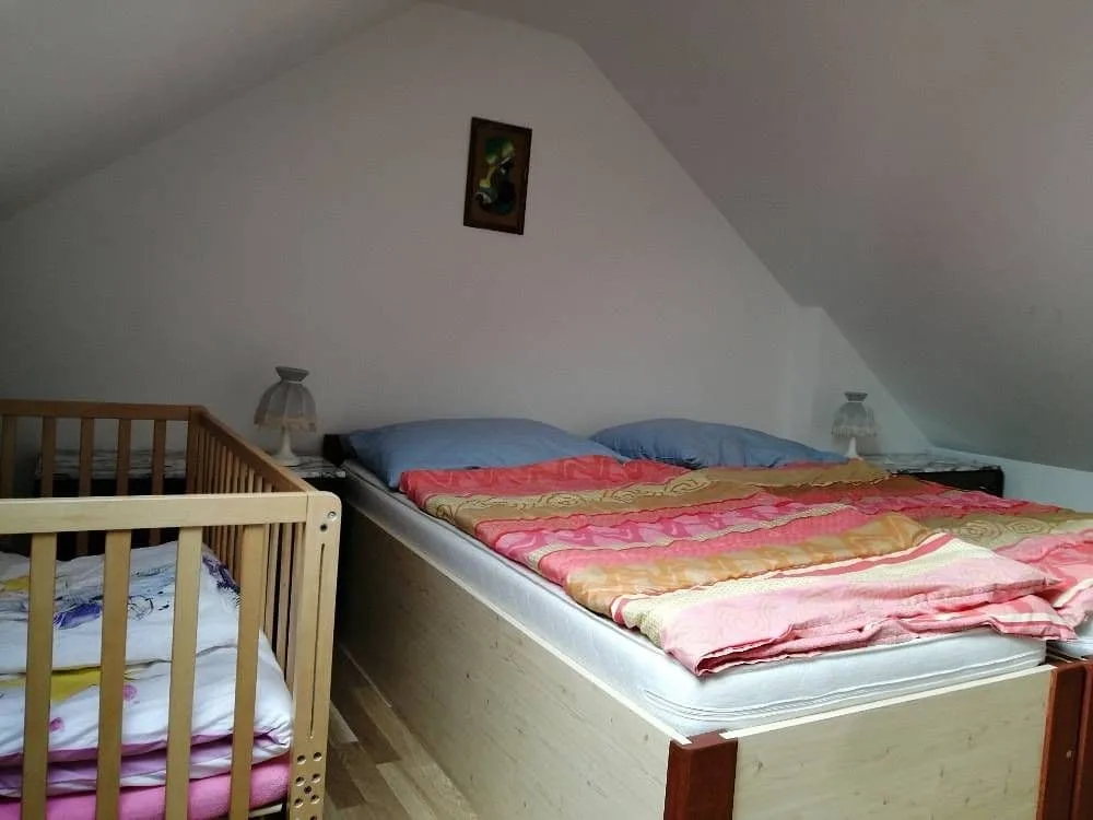Roubenka u Sovy Lužany — photo 7