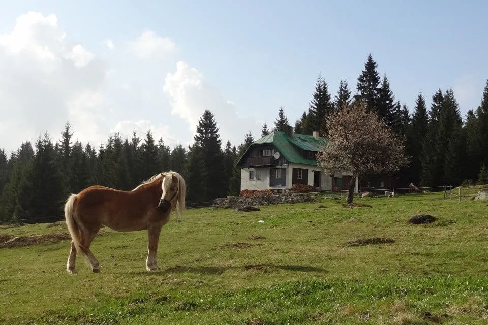 Chalupa na Vyhlídce — photo 2