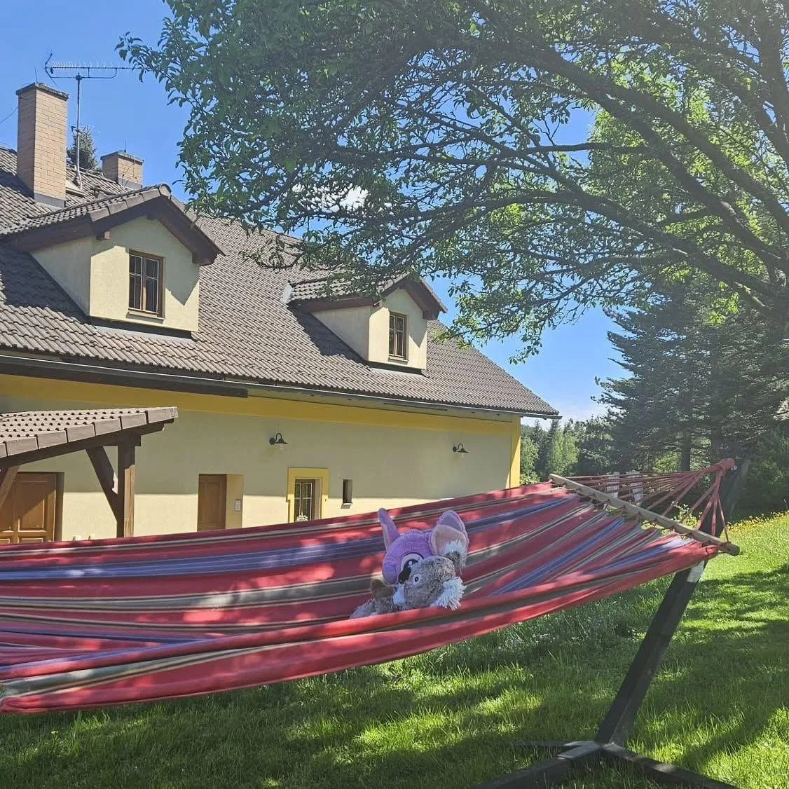 Rodinné ubytování Debrné — photo 4