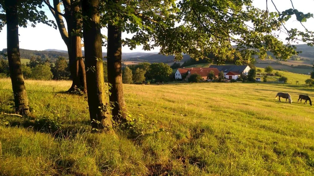 Statek Hájek — photo 2