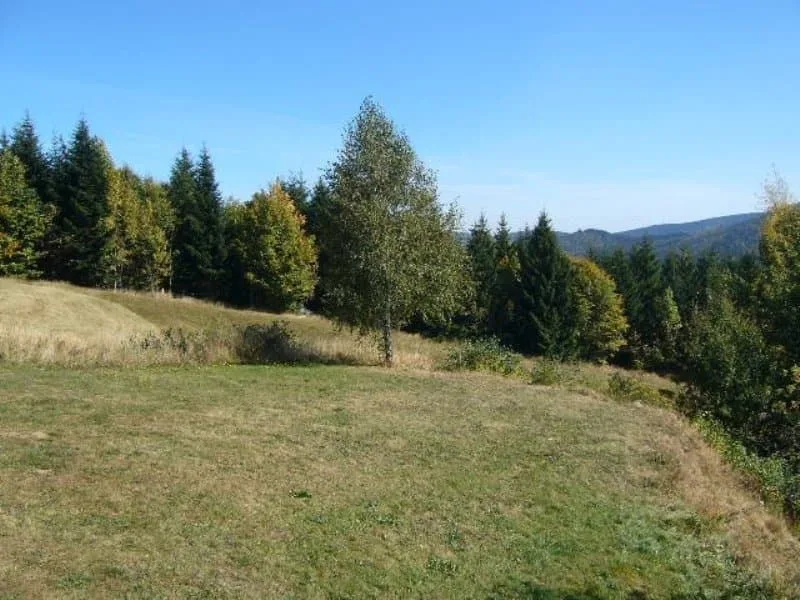 Drevenica Koliba — zdjęcie 5