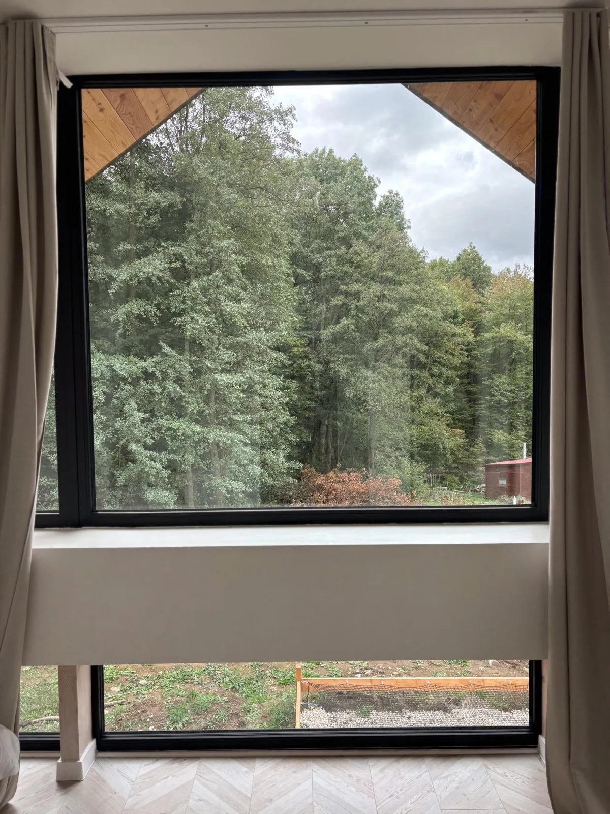 Forest Nest — photo 4