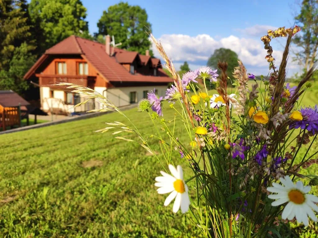 Apartmánový Dom Dorota — photo 2