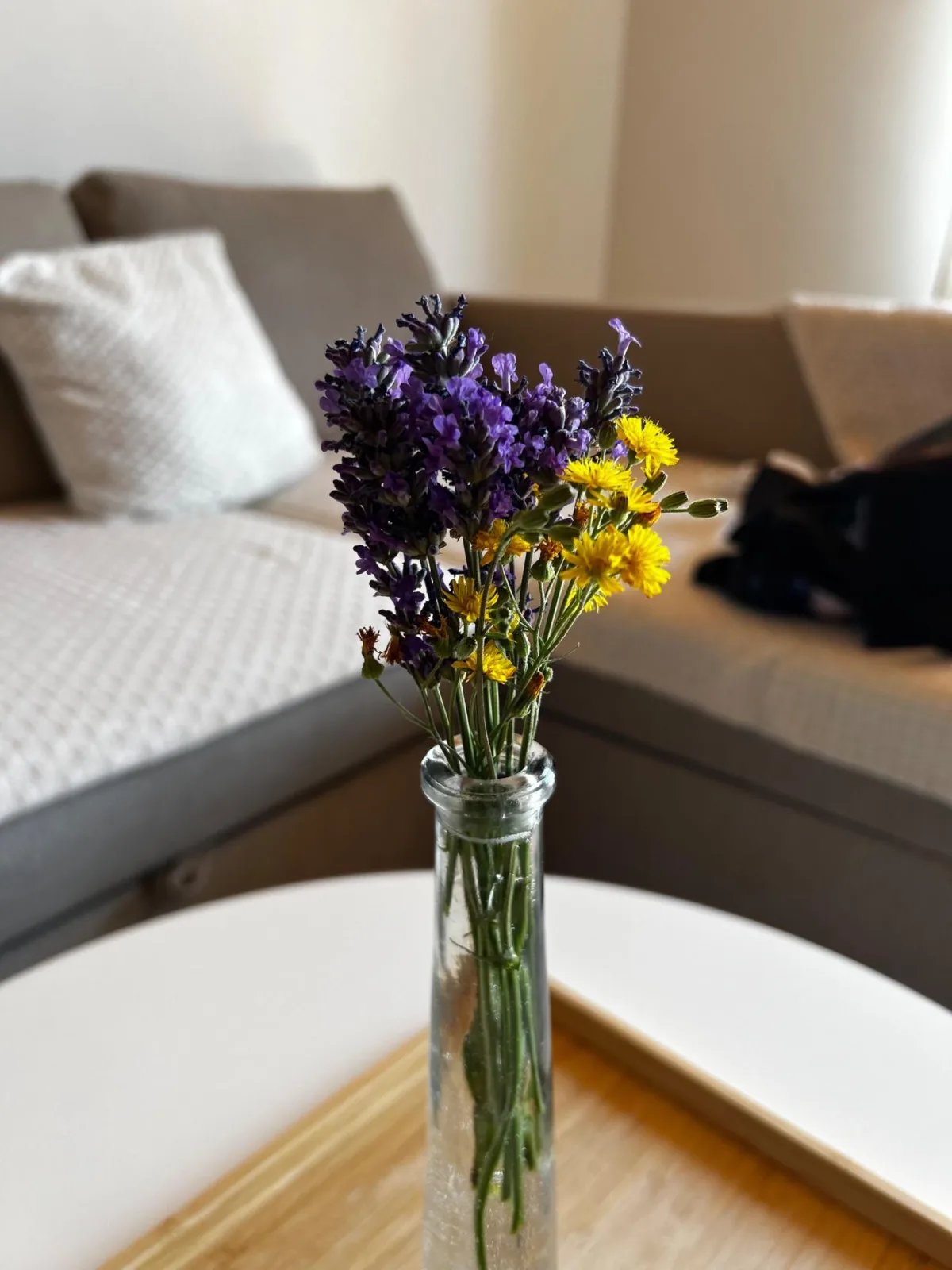 Chata Panoráma — photo 6