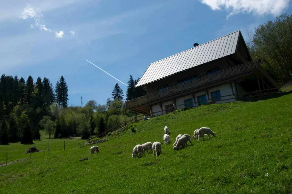 Chata Čerenka — photo 6