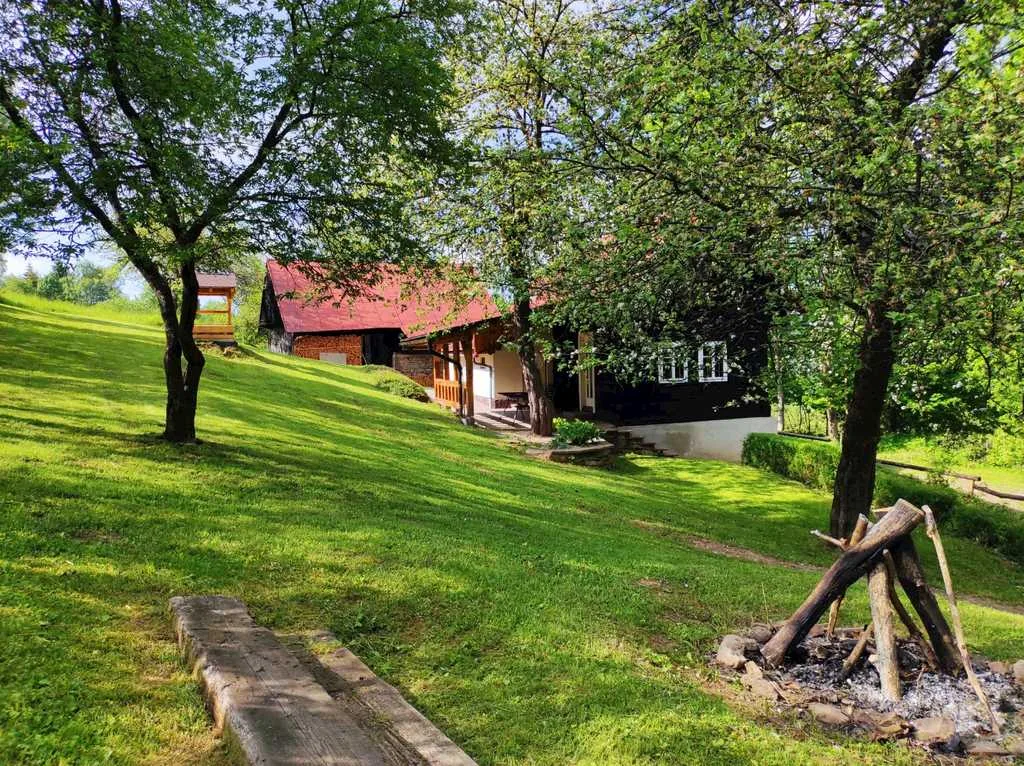 Drevenica u doktorky — photo 2