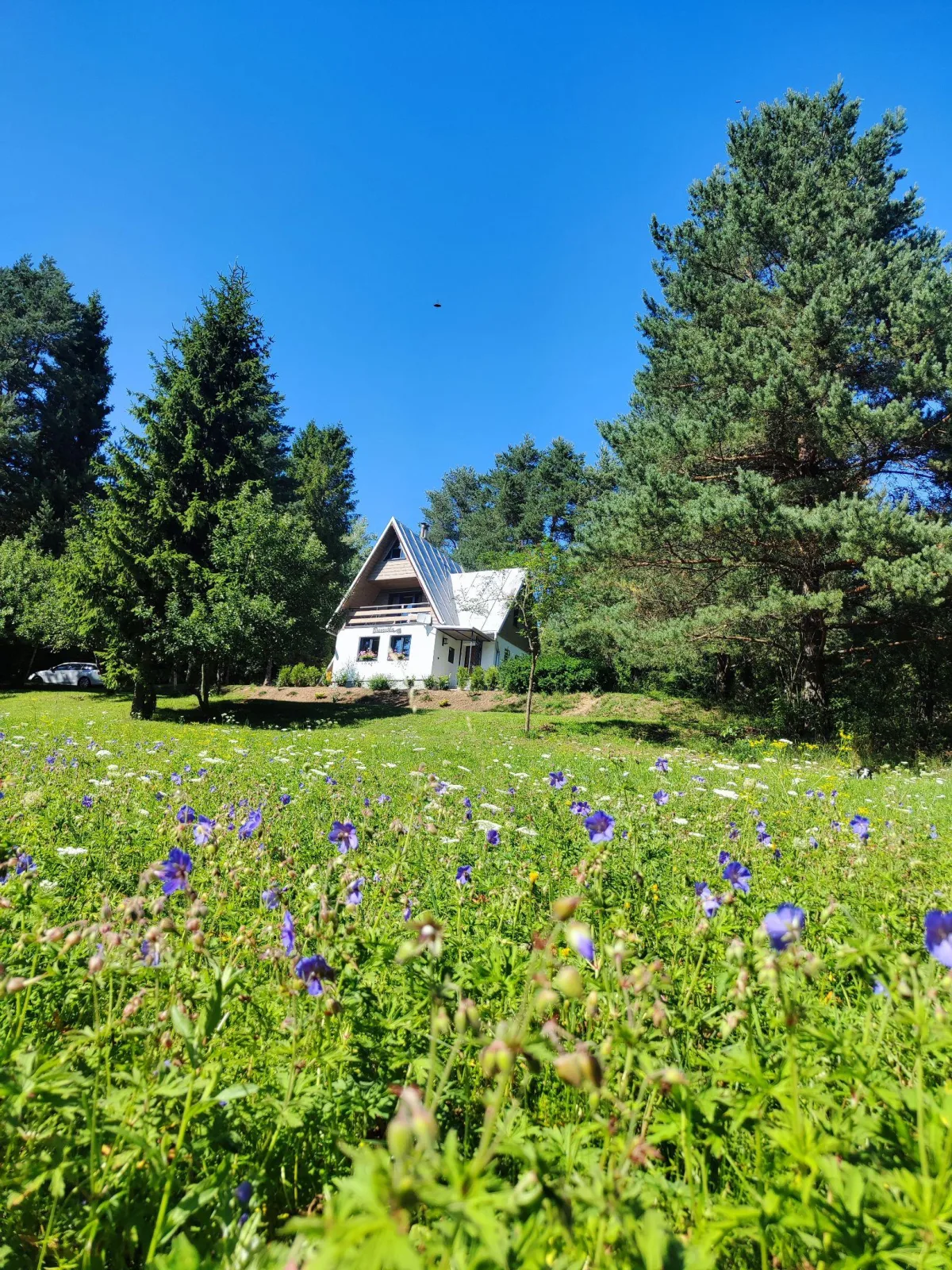 Chata Bosorečka — photo 3