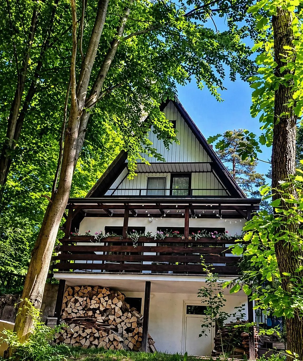 Chata Ružín nad Vodou — photo 2