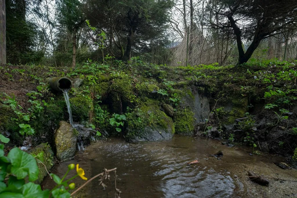 Lesná chata v Martine — fotografie 2