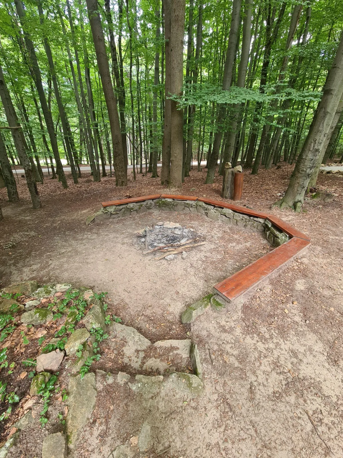 Útulná chata v Malých Karpatoch — photo 4