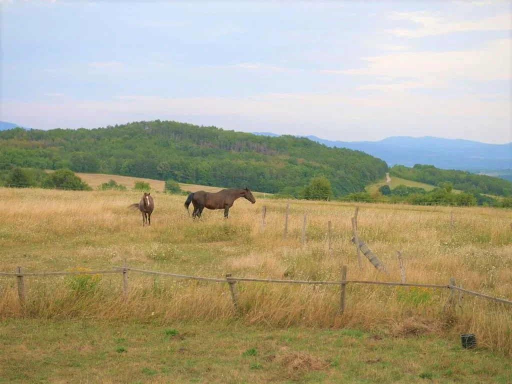Selanka Off road Hill View — zdjęcie 5