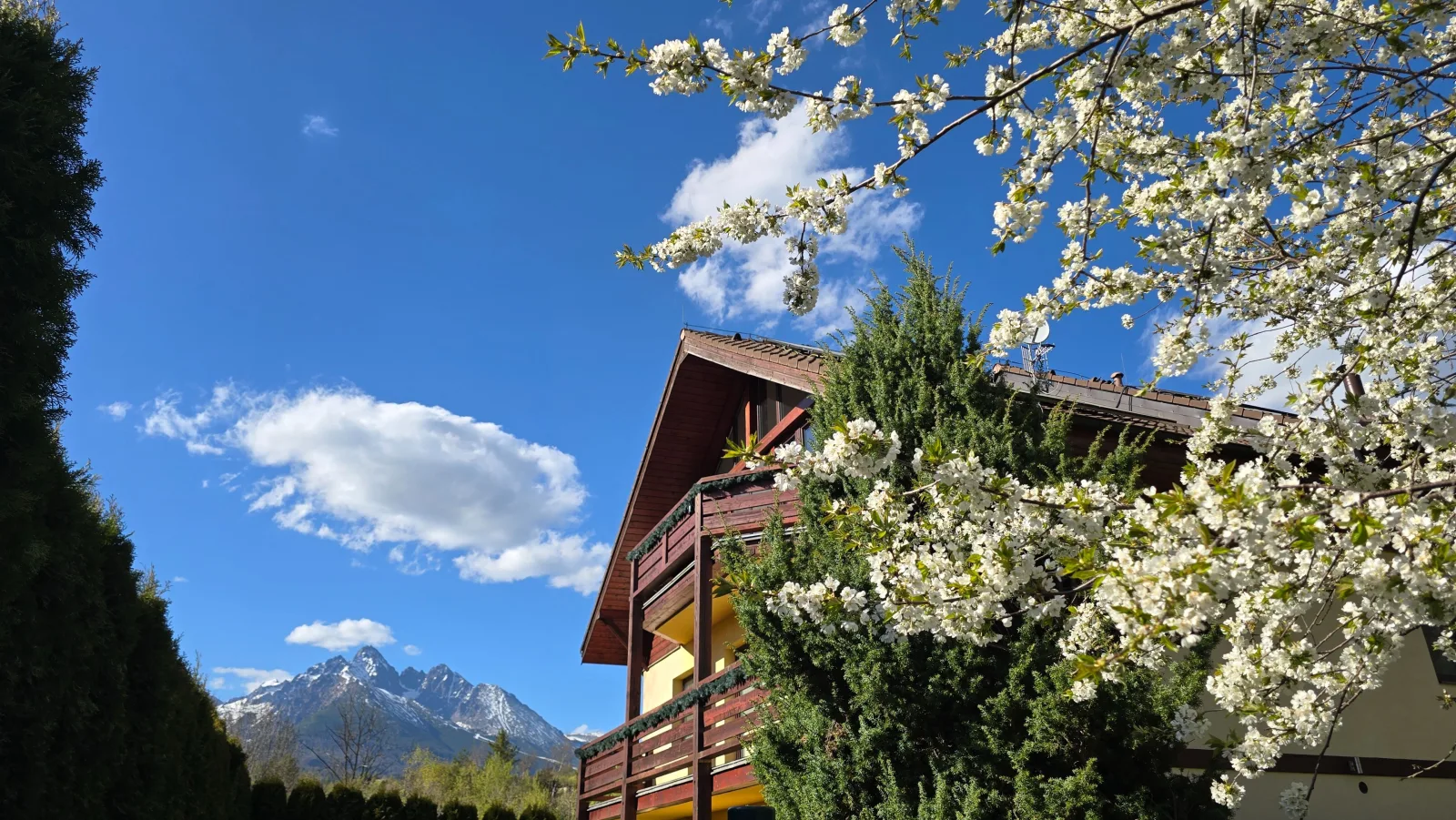 Villa Gold — GUESTHOUSE in Nová Lesná
