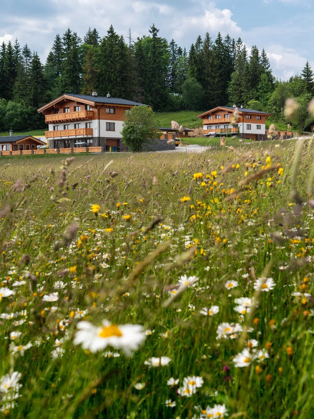 Chalety Bučina Juh — 4. fénykép