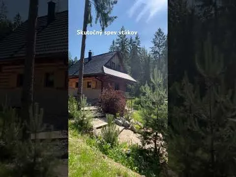 Drevenica Kristína a Lesana — fotografia 4