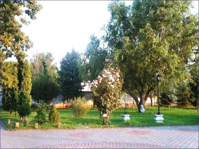 Hotel Kriser — photo 4