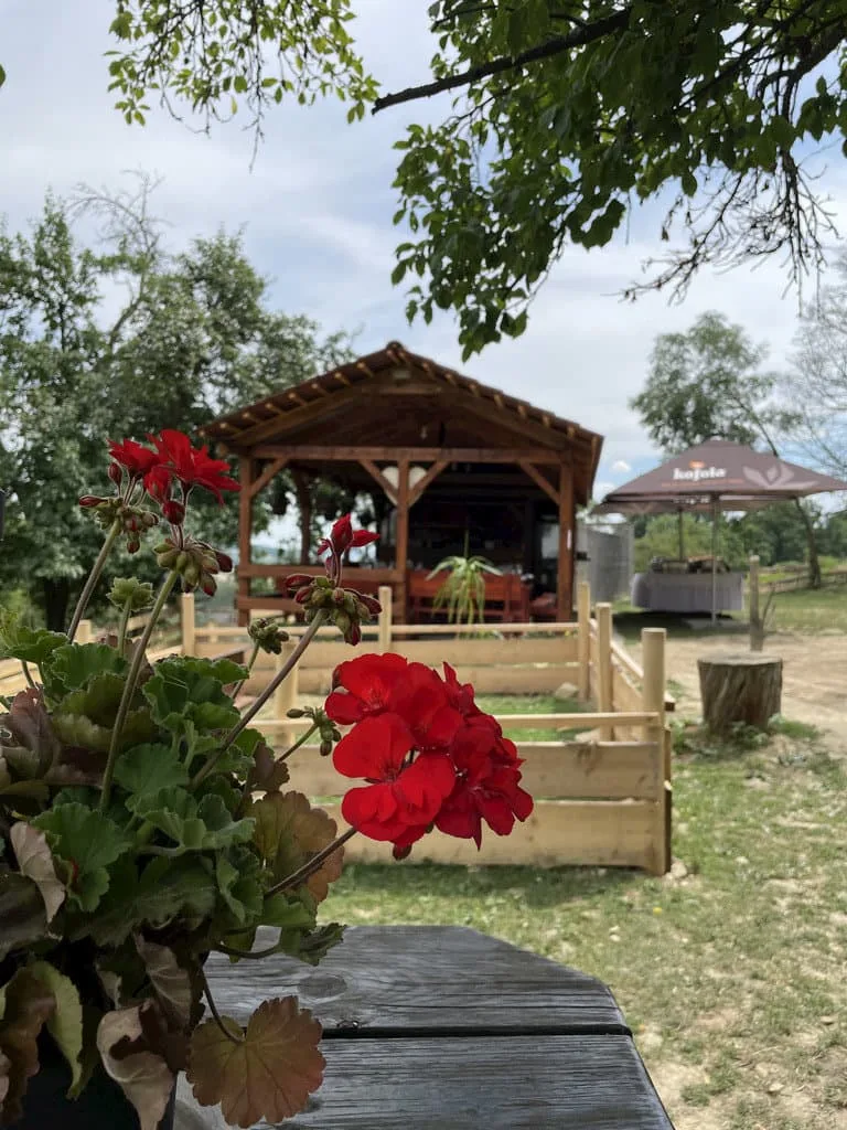 Ranč Colombia — zdjęcie 5