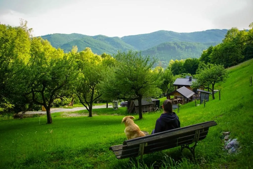 Na samote u lesa — LOG HOUSE in Revúca