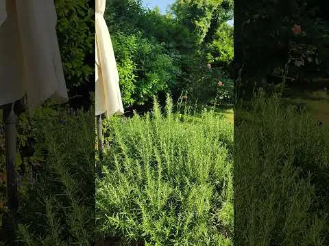 Slnečná chata — fotografia 4