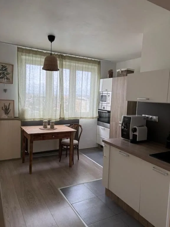 U žltej mačky — zdjęcie 6
