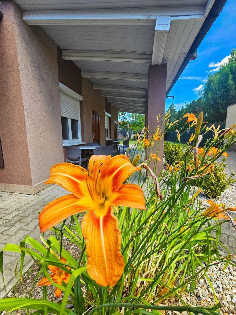 Apartmánový dom Nap — Foto 5