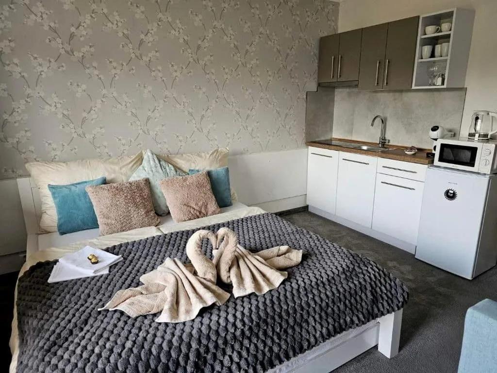 Apartmán Filip Wellnes, krytý bazén — photo 7