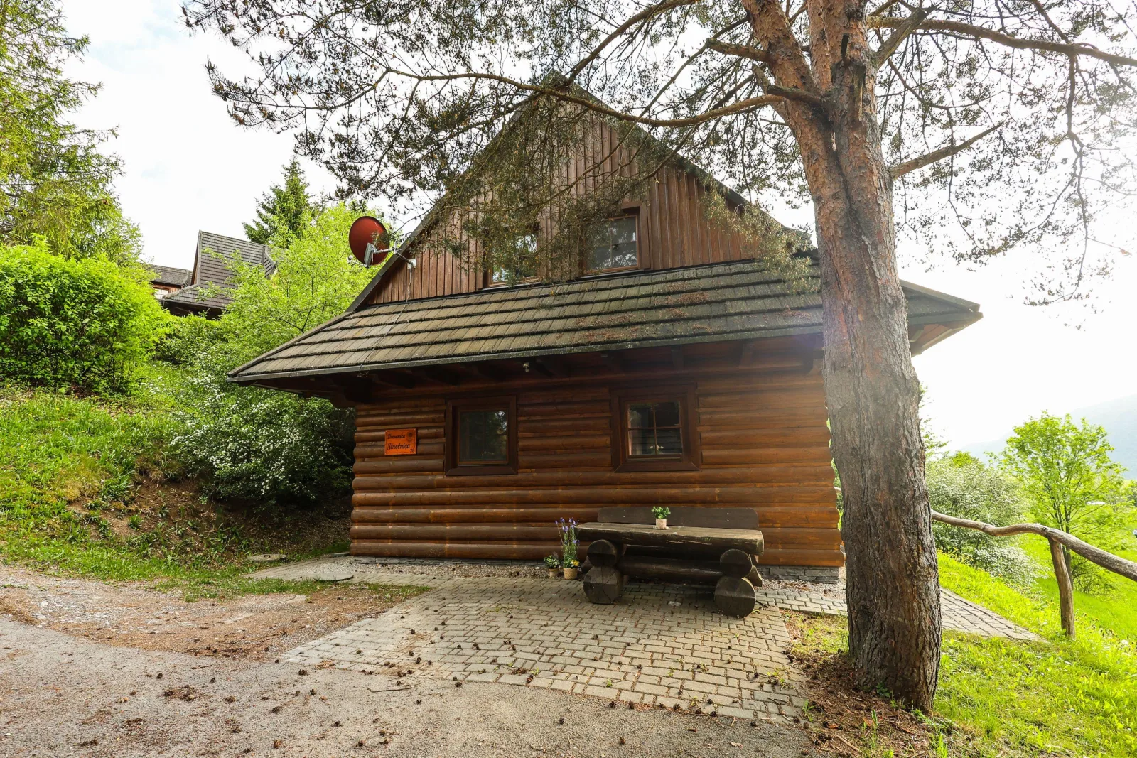 Drevenica Slnečnica — photo 6
