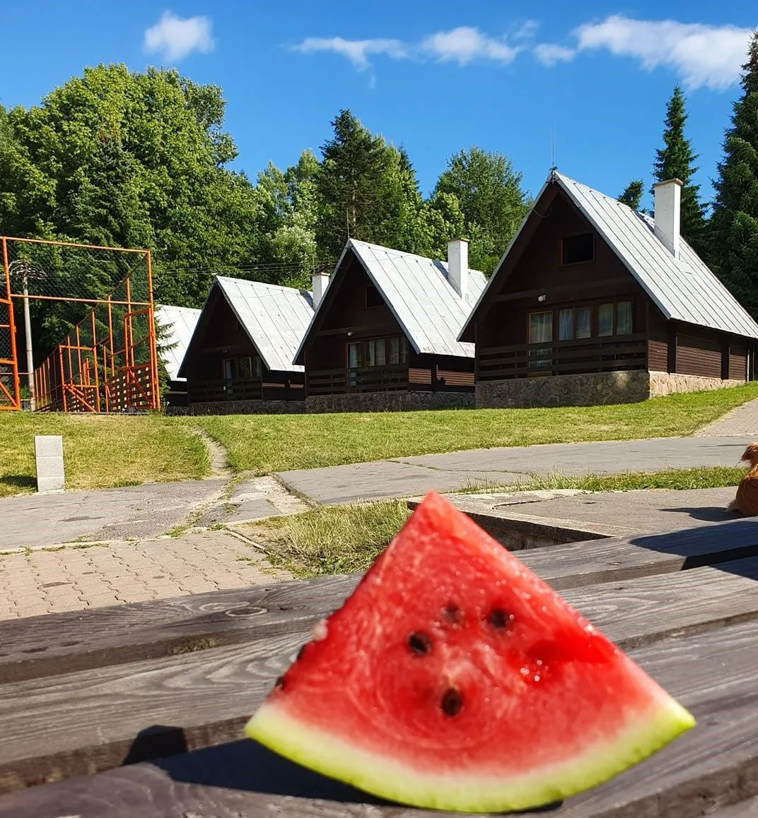 Natur - rekreačné stredisko — CHATA v obci Turček