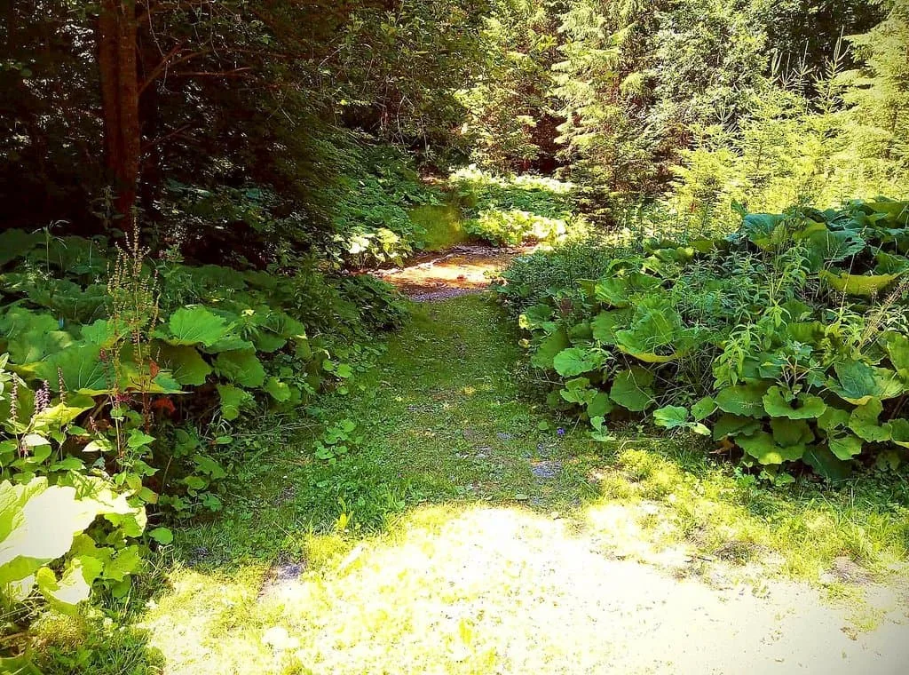 Chata Koniarka — photo 3