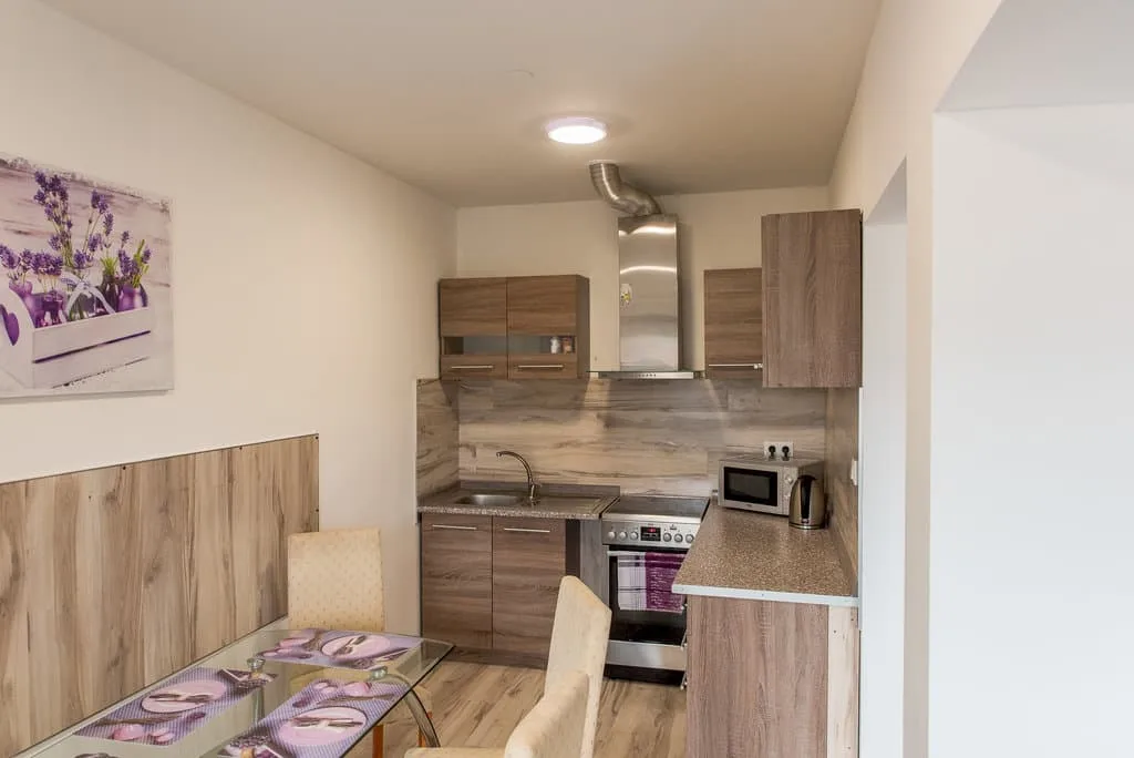 Apartmány a reštaurácia Pohoda Valča — photo 4